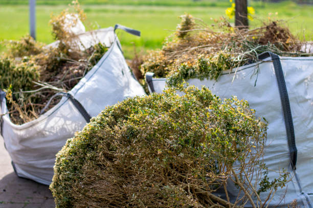 Best Full-Service Junk Removal  in Ashland, MO